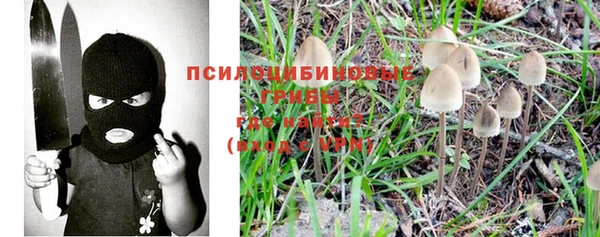 гидра Остров
