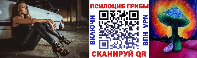 Галлюциногенные грибы Cubensis  Рассказово 